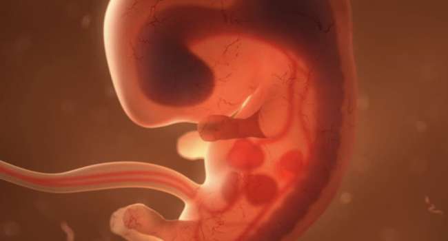 Ученые вырастили в лаборатории эмбрион без матки, без яйцеклетки и без сперматозоида