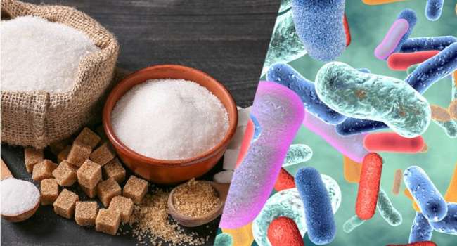 «Сахар – это яд!»: как отказ от сахара влияет на здоровье ЖКТ и сердечно-сосудистой системы