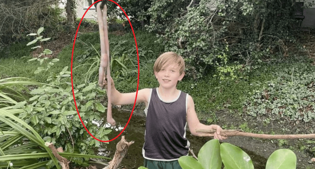 9-летний житель Новой Зеландии во время прогулки с другом нашел гигантского червя длиной в 1 метр – фото