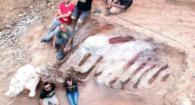 Житель Португалии нашел в своем дворе останки динозавра-гиганта, жившего 150 миллионов лет назад