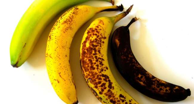 Как правильно хранить бананы, чтобы они не «очернялись» - советы экспертов