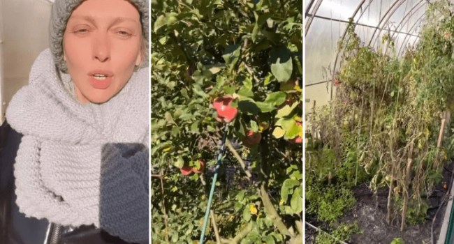 «Очень экономлю, денег нет»: трудящаяся на огороде Оля Полякова рассказала, как выживает во время войны