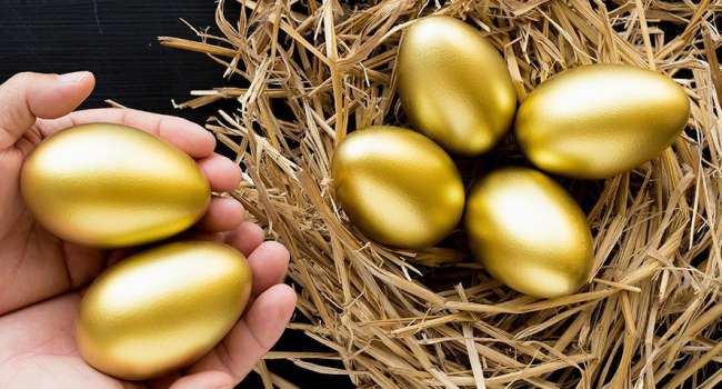 «Золотые яйца» - десяток яиц к Новому году может стоить уже 100 гривен