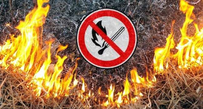 Впервые в Украине суд обязал поджигателя травы выплатить пожарным 134 тыс. грн за выезд