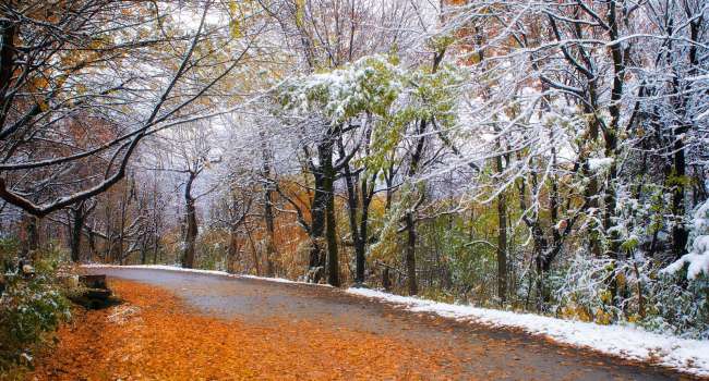 Ноябрь будет морозным: синоптики предупредили, что последний месяц осени в Украине будет холодным