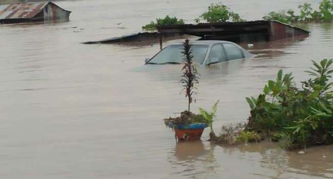 500 человек погибли и более 1,4 миллиона человек пострадало: в Нигерии произошло сильное наводнение (видео)