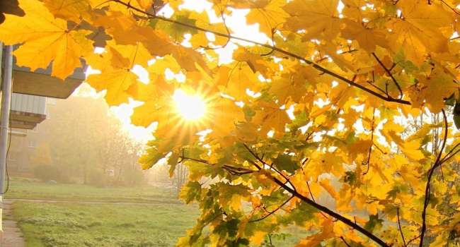 Солнечная и теплая погода в Украине: прогноз погоды на 8 октября